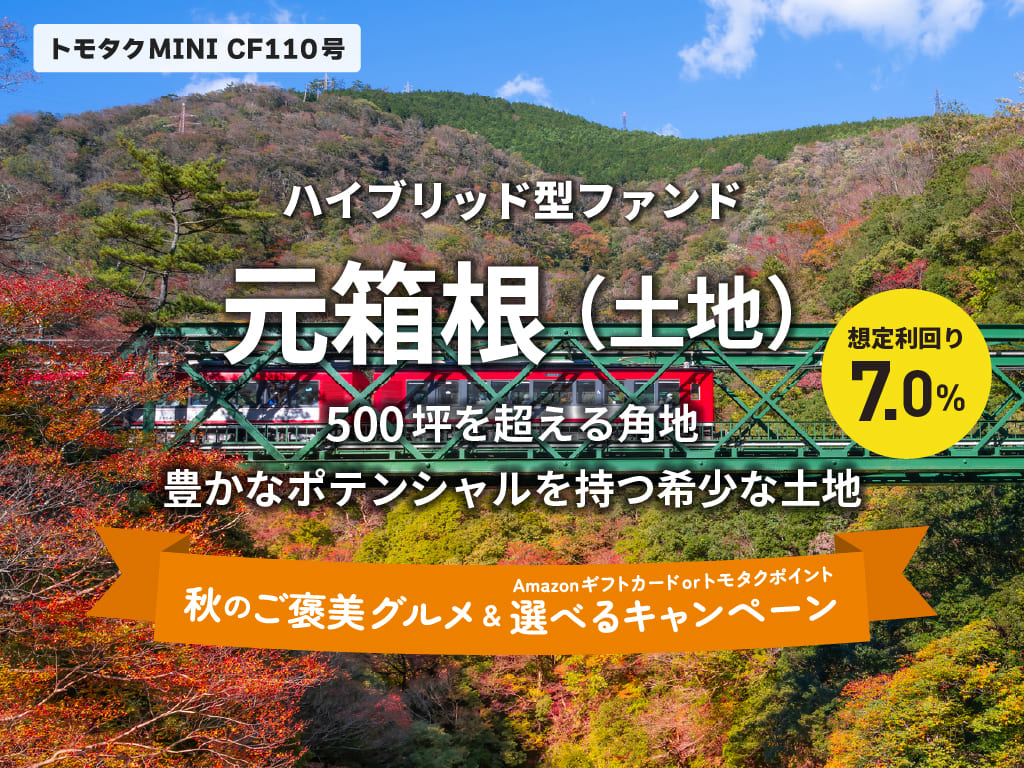【トモタクMINI】トモタクCF110号（元箱根）